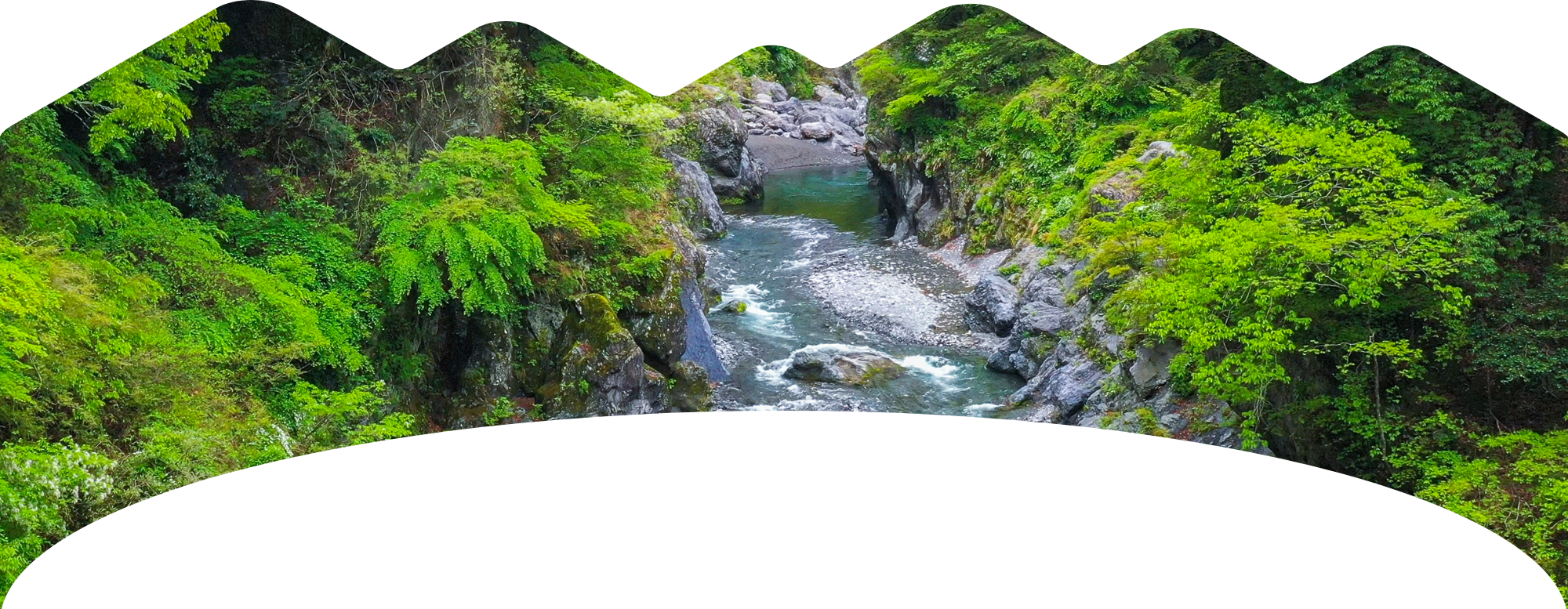 多摩地域・島しょ地域