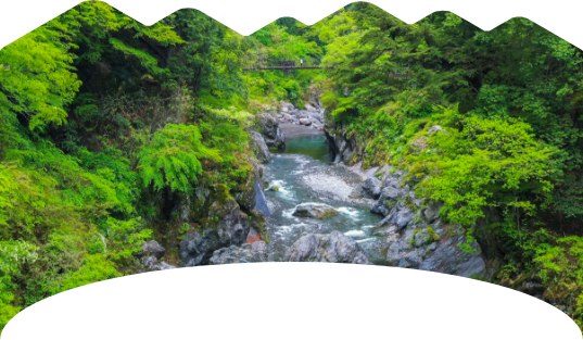 多摩地域・島しょ地域