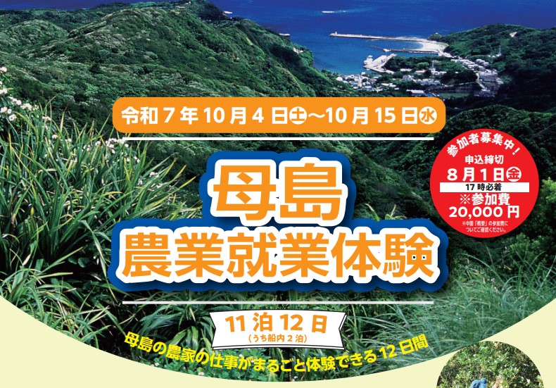 母島農業就業体験