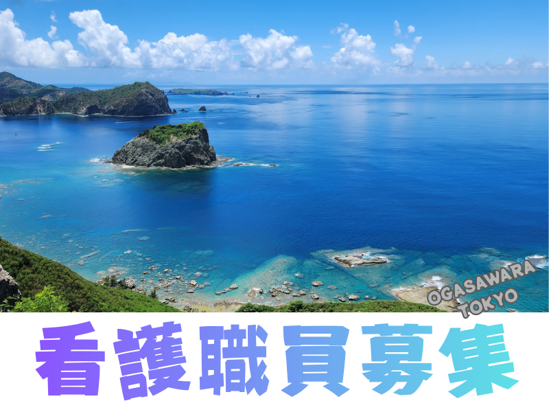 世界自然遺産の小笠原村で看護職員を募集します！！